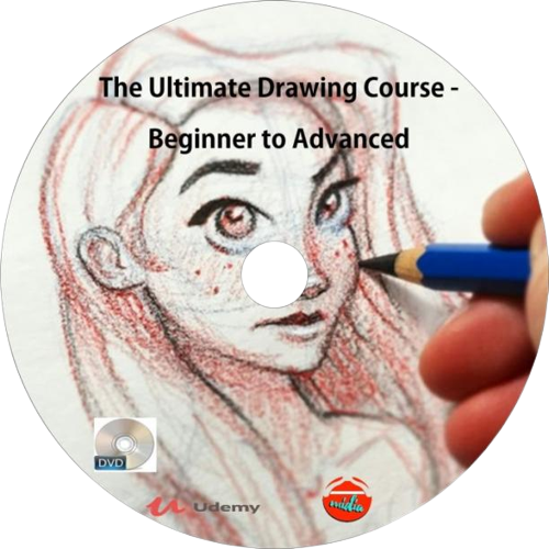 Ultimate Pen Drawing Course: Beginner to Intermediate