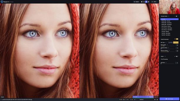 Topaz Photo Ai sc.jpg