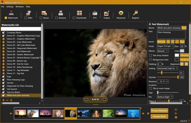 iWatermark Pro sc.jpg