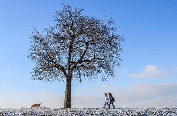 652234-winter-6024017_1920.jpg