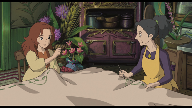 vlcsnap-2020-02-08-11h02m17s052.png