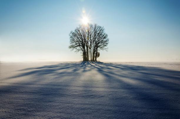 mbll-winter-1965902_1920.jpg