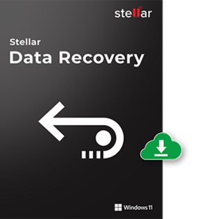 Stellar Data Recovery 11.0.0.4 Multilingual
