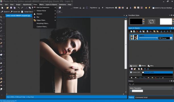Photo Pos Pro screen.jpg