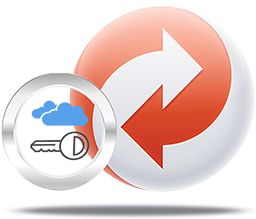 RemoteAccessService.png