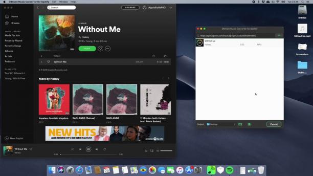 DRmare Spotify Music Converter sc.jpg