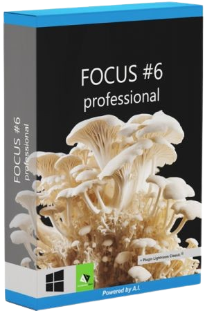 Franzis FOCUS #6 professional 6.13.04017 Portable