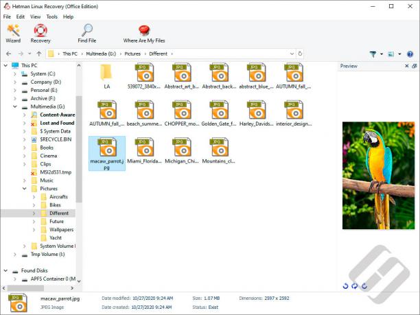 Hetman Linux Recovery screen.jpg