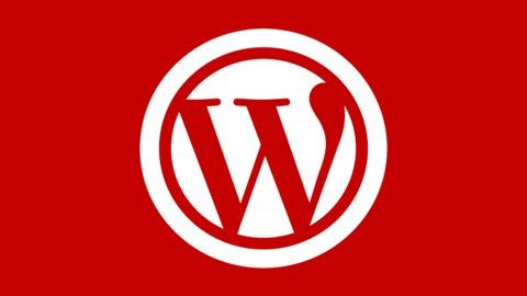 WordPress | From Zero to Expert Level