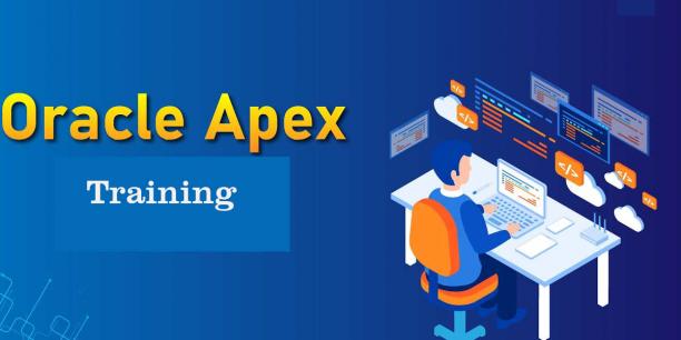 Oracle APEX Professional