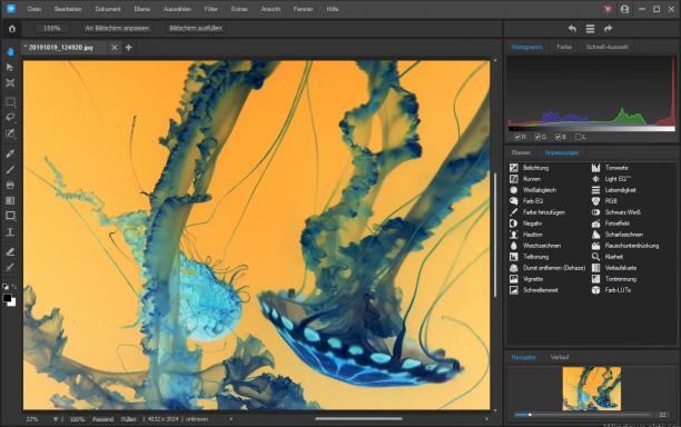 ACDSee Gemstone Photo Editor sc.jpg