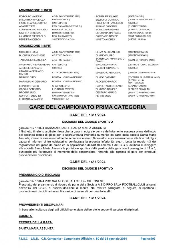 CU-80-2023-2024-del-18.01.2024-7-19_page-0008.jpg