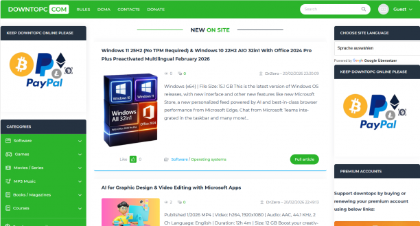 www.downtopc.com.png