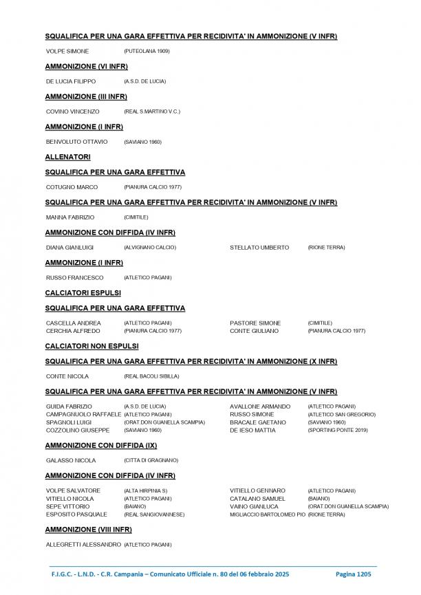 CU80-2024-2025-del-06.02.2025-9-16_page-0008.jpg