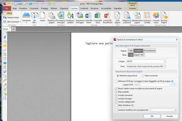 PDF-XChange Editor OK modifica in word senza password.jpg