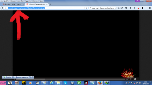 immagine3.png