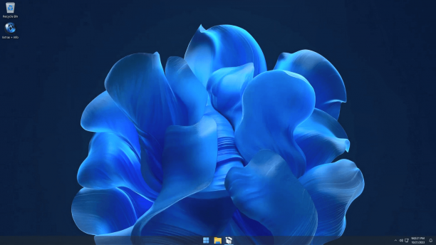 Windows 11 23H2 micro sc.png