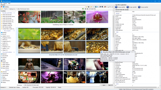 3delite Video File Browser screen.png