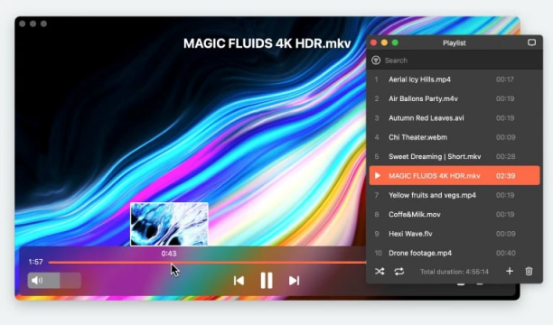 Elmedia Video Player Pro macOS sc.png