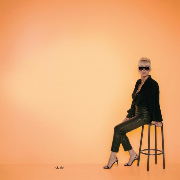 Malika Ayane - Cicale (2026).jpg