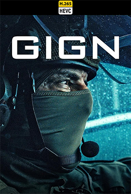 gign hevc.png