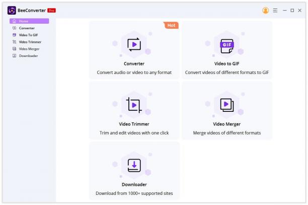 AmoyShare BeeConverter Pro screen.jpg