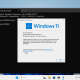 VirtualBox_w11test_19_10_2026_13_54_41.png