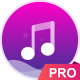 Music player - pro version.png