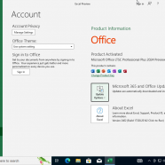 Windows 10 Pro 22H2 + office2024 sc3.png