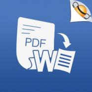 PDF to Word by Flyingbee Pro.jpg