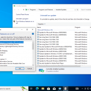 Windows 10 Pro 22H2 + office2024 sc2.png