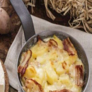 cover.png