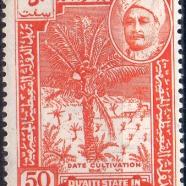 AD-QSH-34.jpg