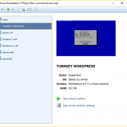 VMware Workstation Player screen.png