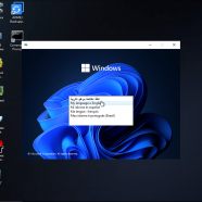 Windows 11 Pro lite.png