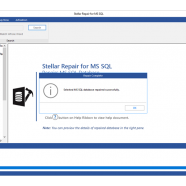 Stellar Repair for MS SQL sc.png