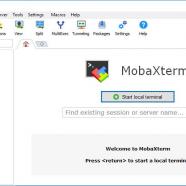 MobaXterm  screen.jpg