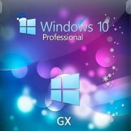 win 10 pro gx.jpg