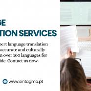 Expert Language Translation Solutions for Global Businesses