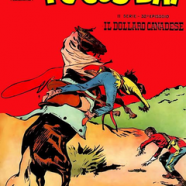 cover.png