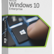 Windows 10 Enterprise.png