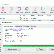 Internet Download Manager 6 screen.gif