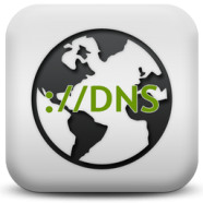 Simple DNS Plus.png