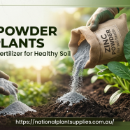 Zinc Powder for Plants Pure Grade Fertilizer for Healthy Soil.png