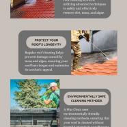 Affordable Roof Cleaning Solutions for Every Property | Aplus Clean