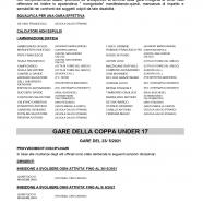 C.U.45-S.G.S.Campania-2-16_page-0011.jpg