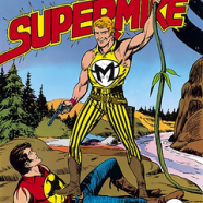 cover.png