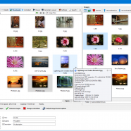 3delite Photo EXIF And Watermark Maker screen.png