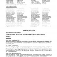 CU53-2024-2025-del-28.11.2024-12-18_page-0006.jpg