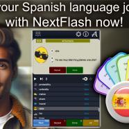 Neonway NextFlash English sc.jpg